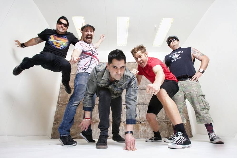 zebrahead und co. im komplex