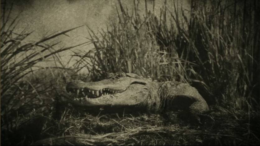 GLORIOR BELLI – „Backwoods Bayou“