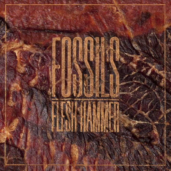 fossils release new lp @ indisciplinarian