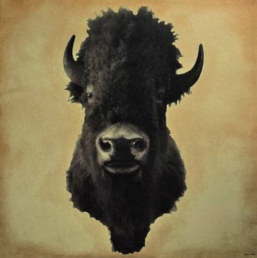 PEACE KILLERS selbstbetiteltes DebÃ¼t am 22.01.16