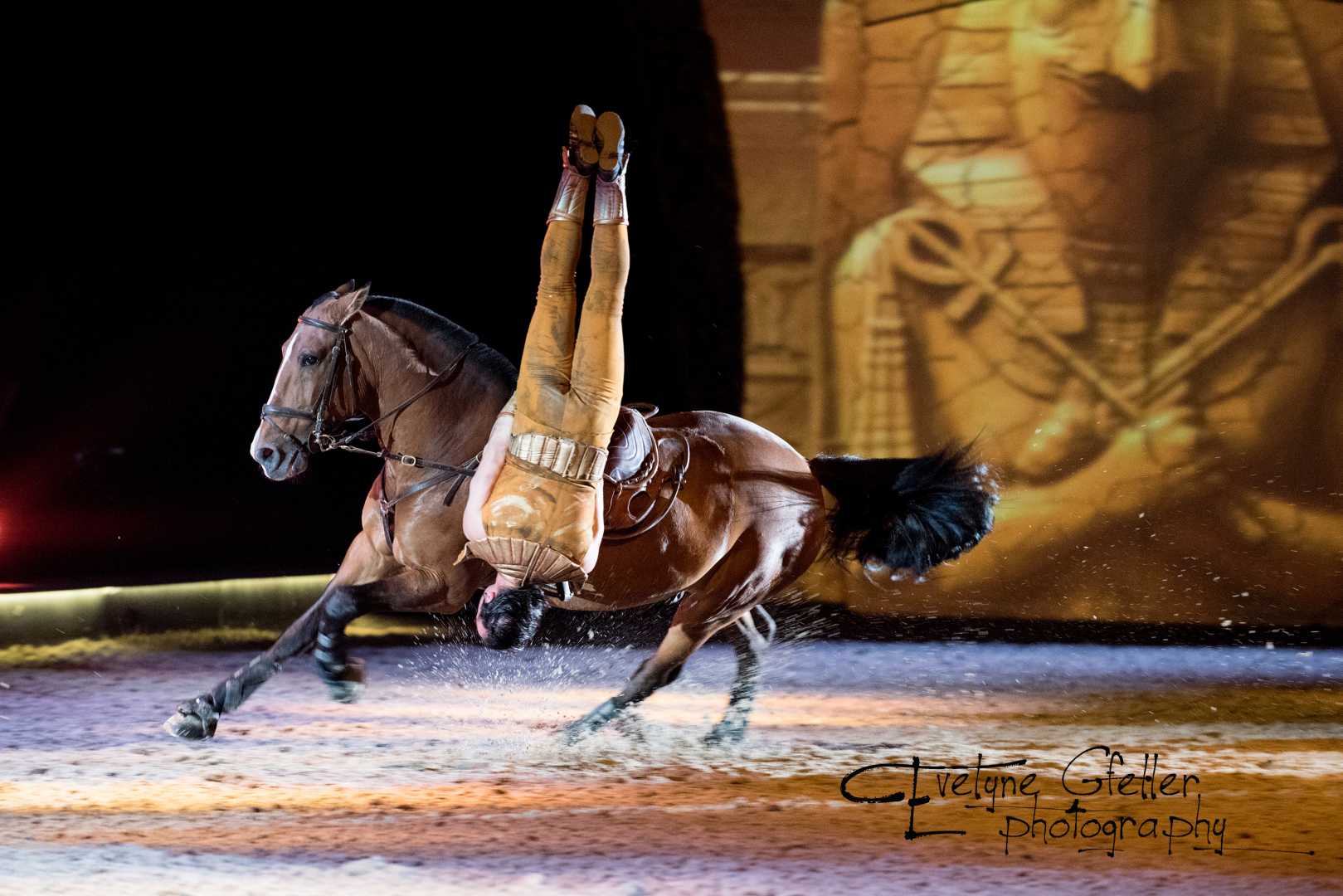 apassionata – metalheads und pferdecontent