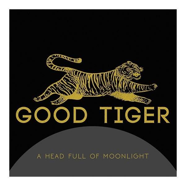 Good Tiger – Drum-Play-Through zu „Where Are The Bir