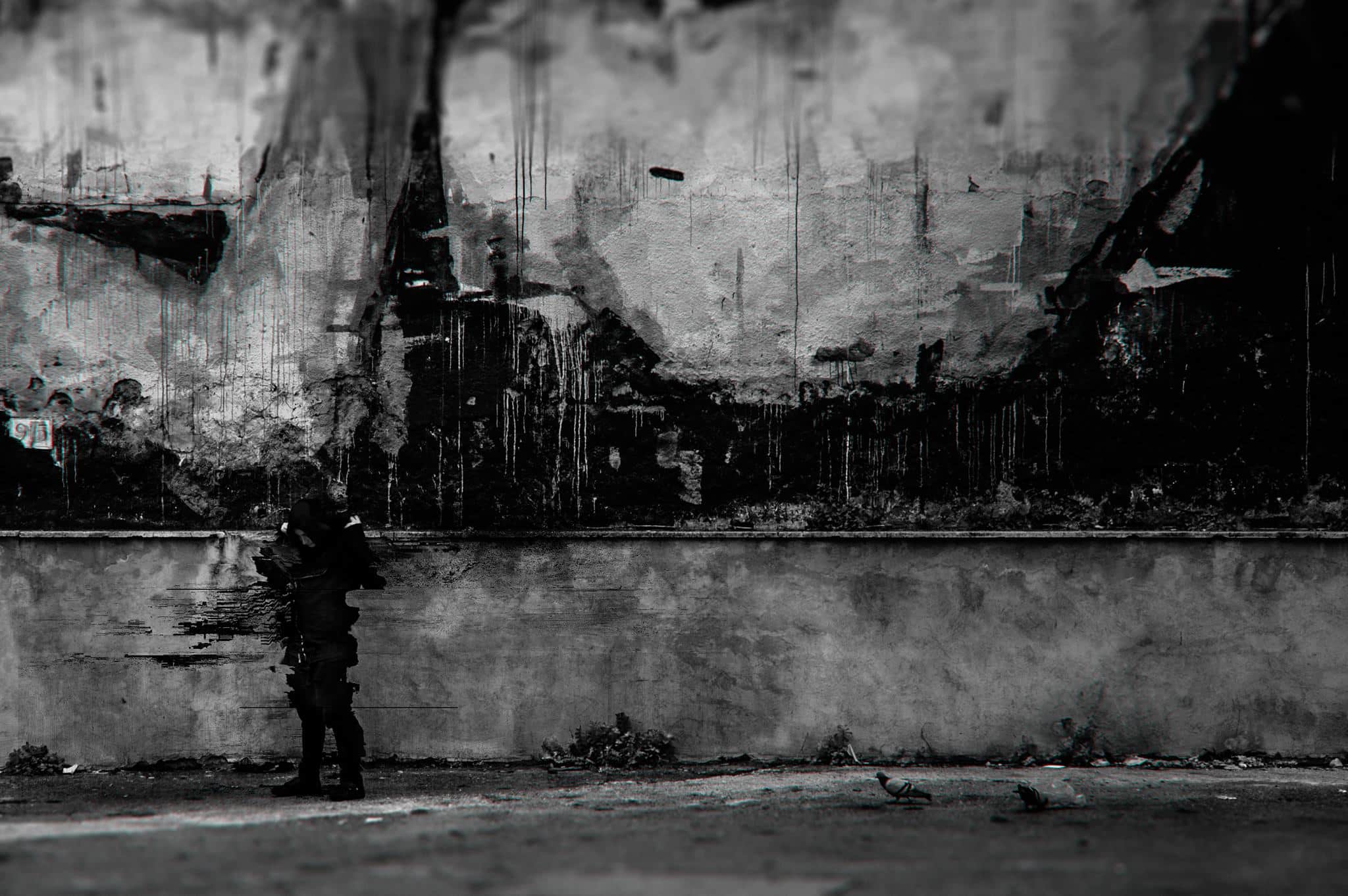 DSI veröffentlicht Alben kostenlos