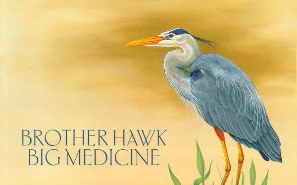 Brother Hawk – Album am 28.05.16 erste Europatour im Herbst