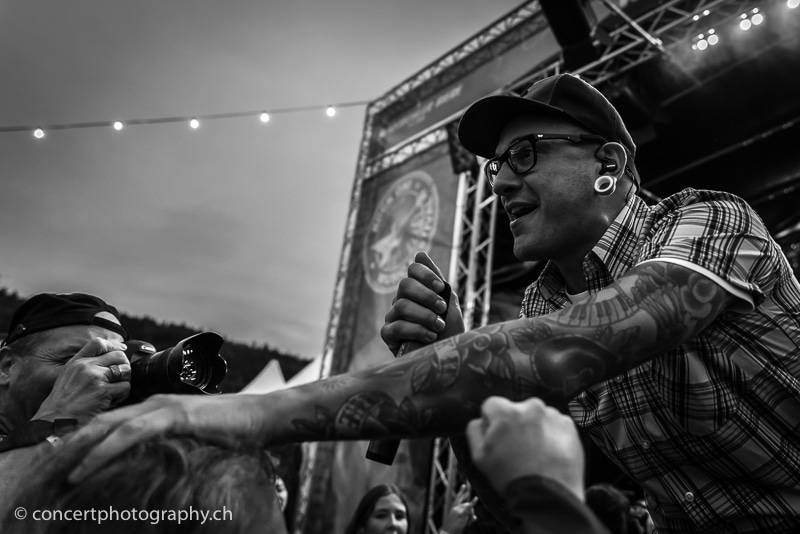 Rock On! – DREAMSHADE bringen „Merlot“-Core