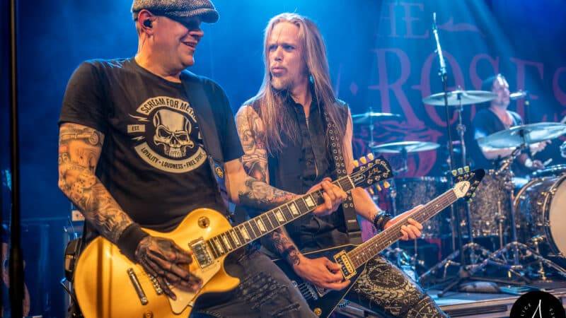 THE NEW ROSES im Böröm