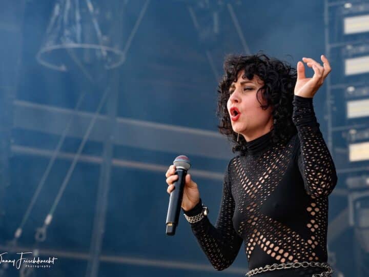 THE BABOON SHOW – „Forward In Reverse“ als Teaser für EP anfangs 2025