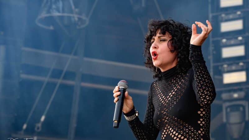 THE BABOON SHOW – „Forward In Reverse“ als Teaser für EP anfangs 2025